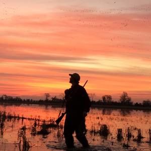 Meet your Posher, Chase